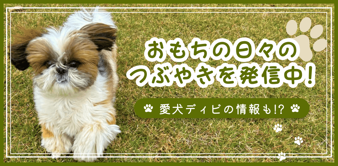 snsリンクの画像